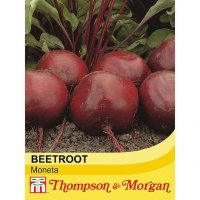 Thompson & morgan Beetroot Moneta