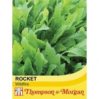 Thompson & Morgan Herb Wild Rocket Wildfire