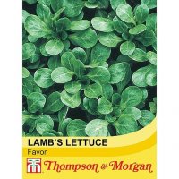 Thompson & Morgan Lambs Lettuce Favor