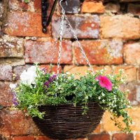 Smart Garden Rattan Hanging Basket 14?