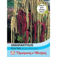 Thompson & Morgan Amaranthus Pony Tails