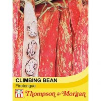 Thompson & Morgan Climbing Bean Borlotto Lingua (Firetongue)