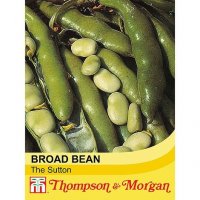 Thompson & Morgan Broad Bean The Sutton