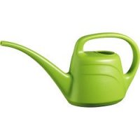 Green & Home Eden Watering Can 2L - Mint Green