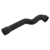 Febi Bilstein Coolant Hose 37097