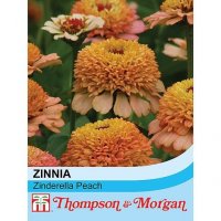 Thompson & Morgan Zinnia Elegans Zinderella Peach