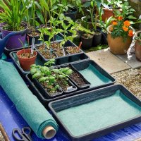 Smart Garden Moisture Matting Green 0.6 x 2.4M