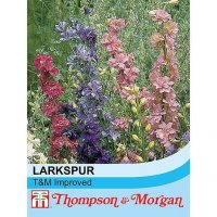 Thompson & Morgan Larkspur T&M Improved Mixed