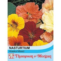 Thompson & Morgan Nasturtium Alaska Mixed