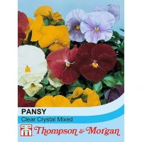 Thompson & Morgan Pansy Clear Crystal Mixed