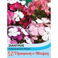 Thompson & Morgan Sweet William kaleidoscope Mixed