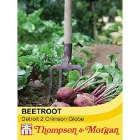 Thompson & Morgan Beetroot Detroit 2 Crimson Globe