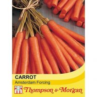 Thompson & Morgan Carrot Amsterdam Forcing