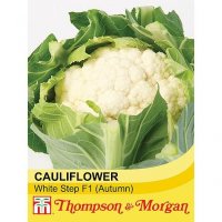 Thompson & Morgan Cauliflower White Step F1 Hybrid