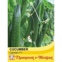 Thompson & Morgan Cucumber Carmen