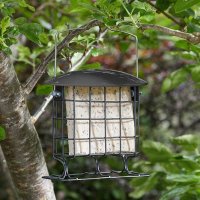 ChapelWood Supreme Suet Cake Feeder