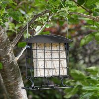 Smart Garden Supreme Suet Cake Feeder