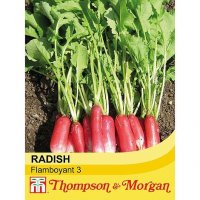 Thompson & Morgan Radish Flamboyant 3