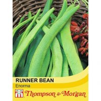 Thompson & Morgan Runner Bean Enorma