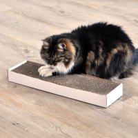 Smart Garden Zoon Nip-It Catnip Scratch Pad