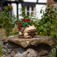 Flamboya Woodland Frog Planter