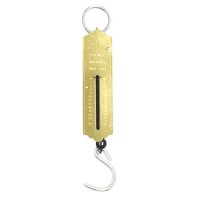 Fallen Fruits Spring Scale