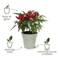 Elho Green Basics Growpot - 40cm Leaf Green