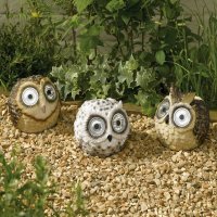 Smart Garden Bright Eye Owls - Assorted Designs