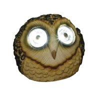 Smart Garden Bright Eye Owls - Assorted Designs