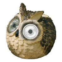 Smart Garden Bright Eye Owls - Assorted Designs