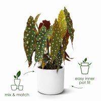 elho B.For Soft Round Plant Pot 25cm - Anthracite