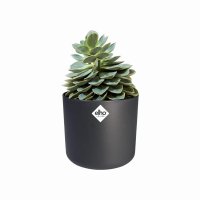 elho B.For Soft Round Plant Pot 25cm - Anthracite
