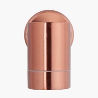 Pacific Lifestyle Lantana Metal Fixed Spot Wall Light - Copper
