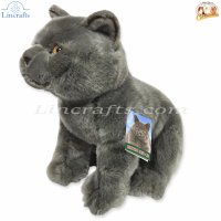 Plush Soft Toy British Blue Cat by Faithful Friends (25cm)H FBBC03