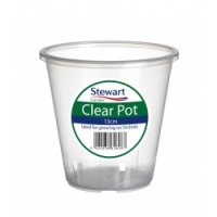 Stewart Clear Orchid Plant Pot - 13cm