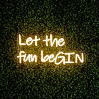 38cm LED Low Voltage Neon Wall Sign - Let the fun beGIN