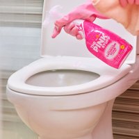 The Pink Stuff  Bathroom Cleaner