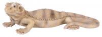 Bearded Dragon Lizard - Lifelike Ornament Gift - Indoor or Outdoor - Zoo Pet Pals