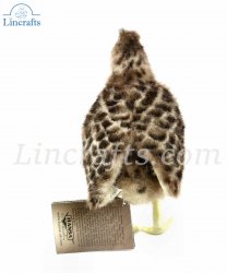 Soft Toy Bird, Plains-Wanderer (19cm.H) 7477