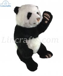 Soft Toy Panda Bear by Hansa (33cm) 6649