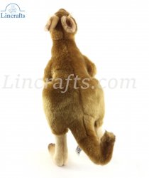 Kangaroo by Hansa (36cm) 4900