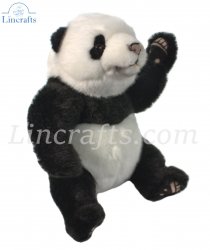 Soft Toy Panda Bear by Hansa (23cm) 6630