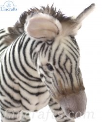 Soft Toy Zebra Grevy's  by Hansa (34cm) 5153