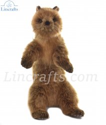 Soft Toy Pine Marten by Hansa (30cm) 4693