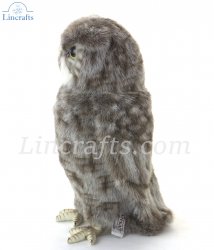 Soft Toy Screech Owl Bird of Prey by Hansa (31cm) 8081