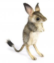 Soft Toy Jerboa, Desert Rat, by Hansa (19cm.H) 7497