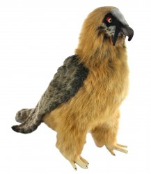 Soft Toy Bird, Bearded Vulture by Hansa (47cm.L) 7636