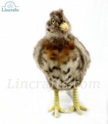 Soft Toy Bird, Plains-Wanderer (19cm.H) 7477