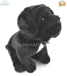 Soft Toy Cane Corso Dog by Faithful Friends (25cm)H FCA03