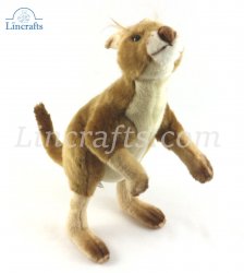 Kangaroo by Hansa (36cm) 4900